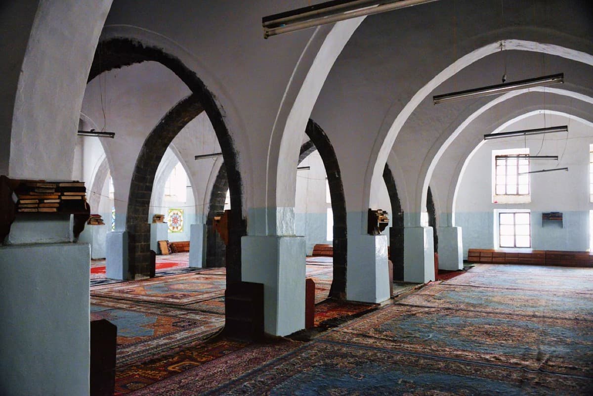 Mevlid Organizasyonu